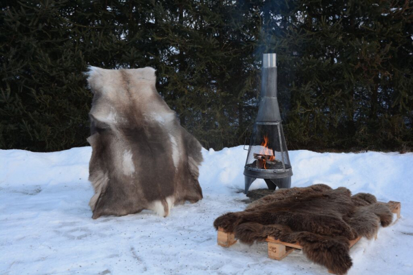 Öko Rentierfell Great Wild Lion Dunkel XXL – Rekord-Übergröße 150cm